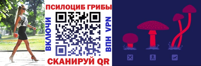 Псилоцибиновые грибы мицелий  Аша 