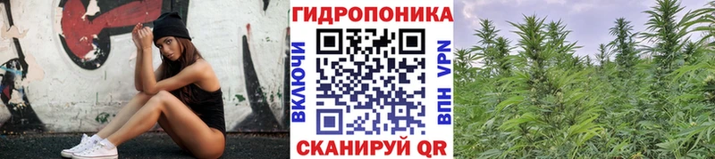 Канабис Ganja  Аша 